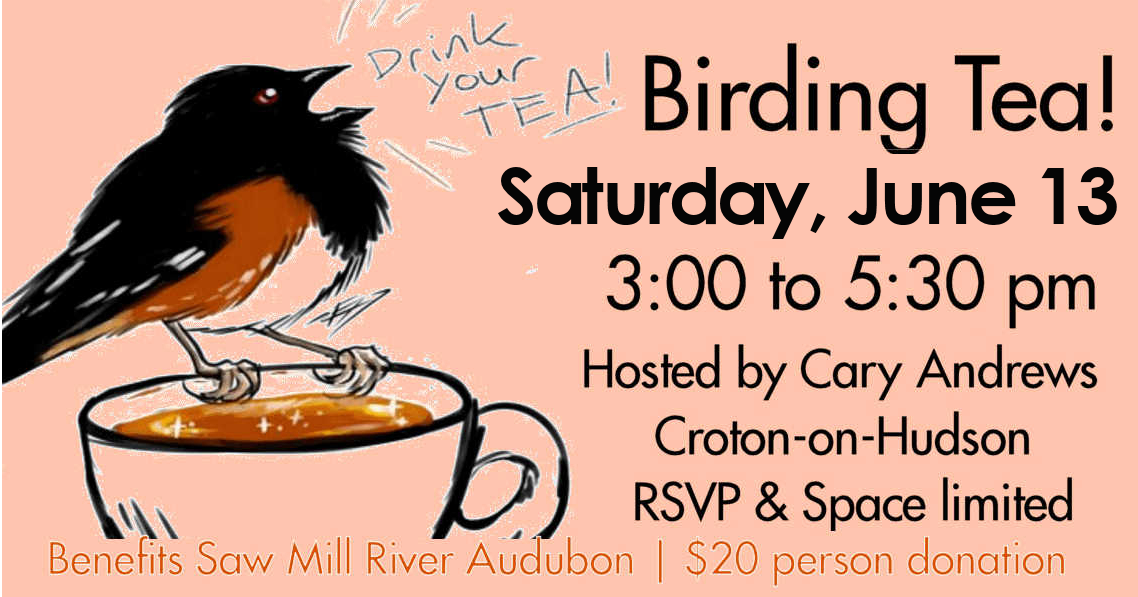 FB-ad-Birding-Tea-2026