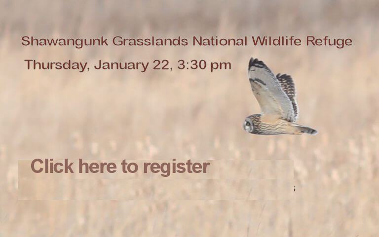 Shawangunk-Click-Here Shawangunk-Click-Here