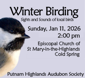 In Person. No registration