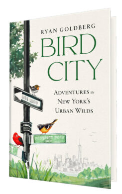 bird-city-hardcover-2-965x1536