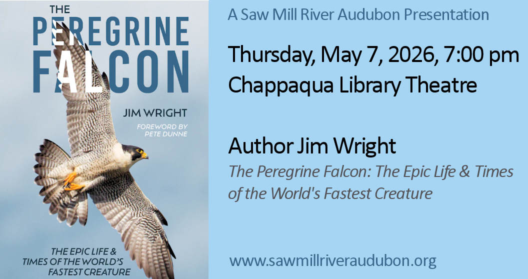 No registration needed. In-person program