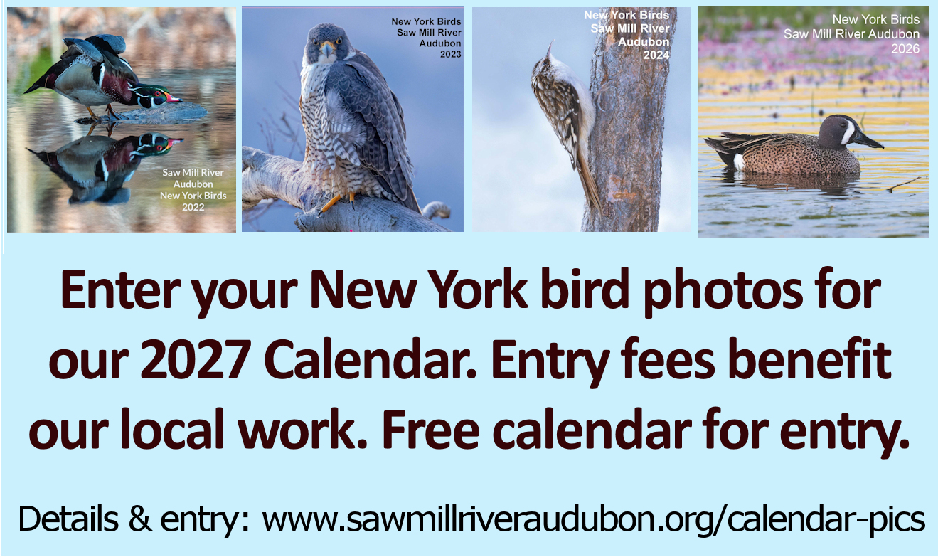 2027-Calendar-Entries