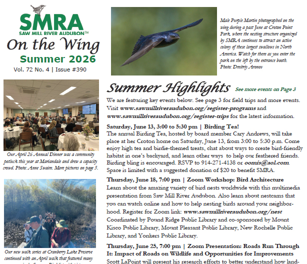click above to download our latest newsletter