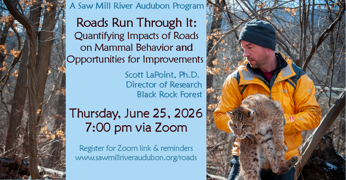 June-2026-Roads-Program