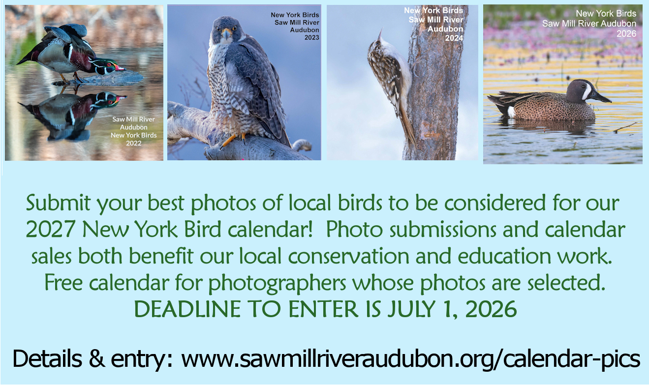 2027-Calendar-Entries 2027-Calendar-Entries