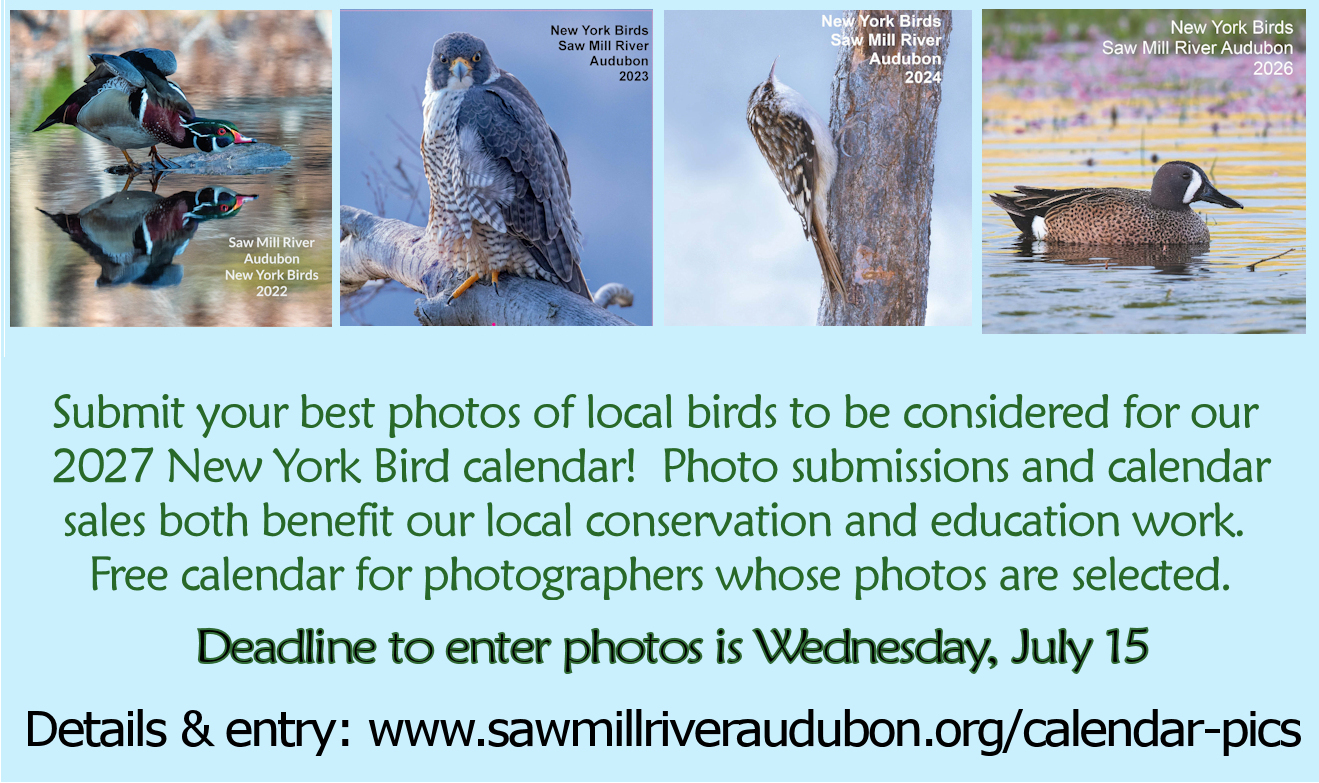 2027-Calendar-Entries 2027-Calendar-Entries