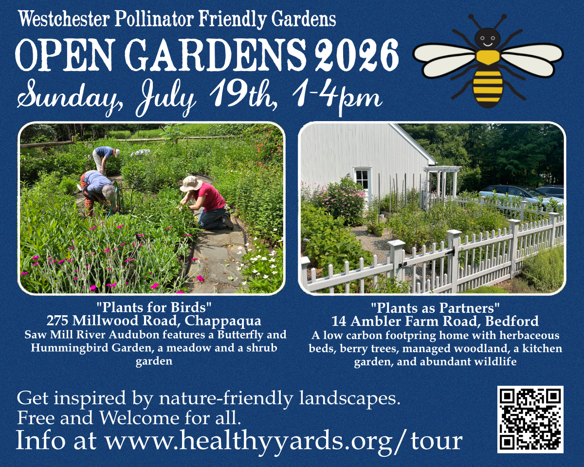 garden day garden day
