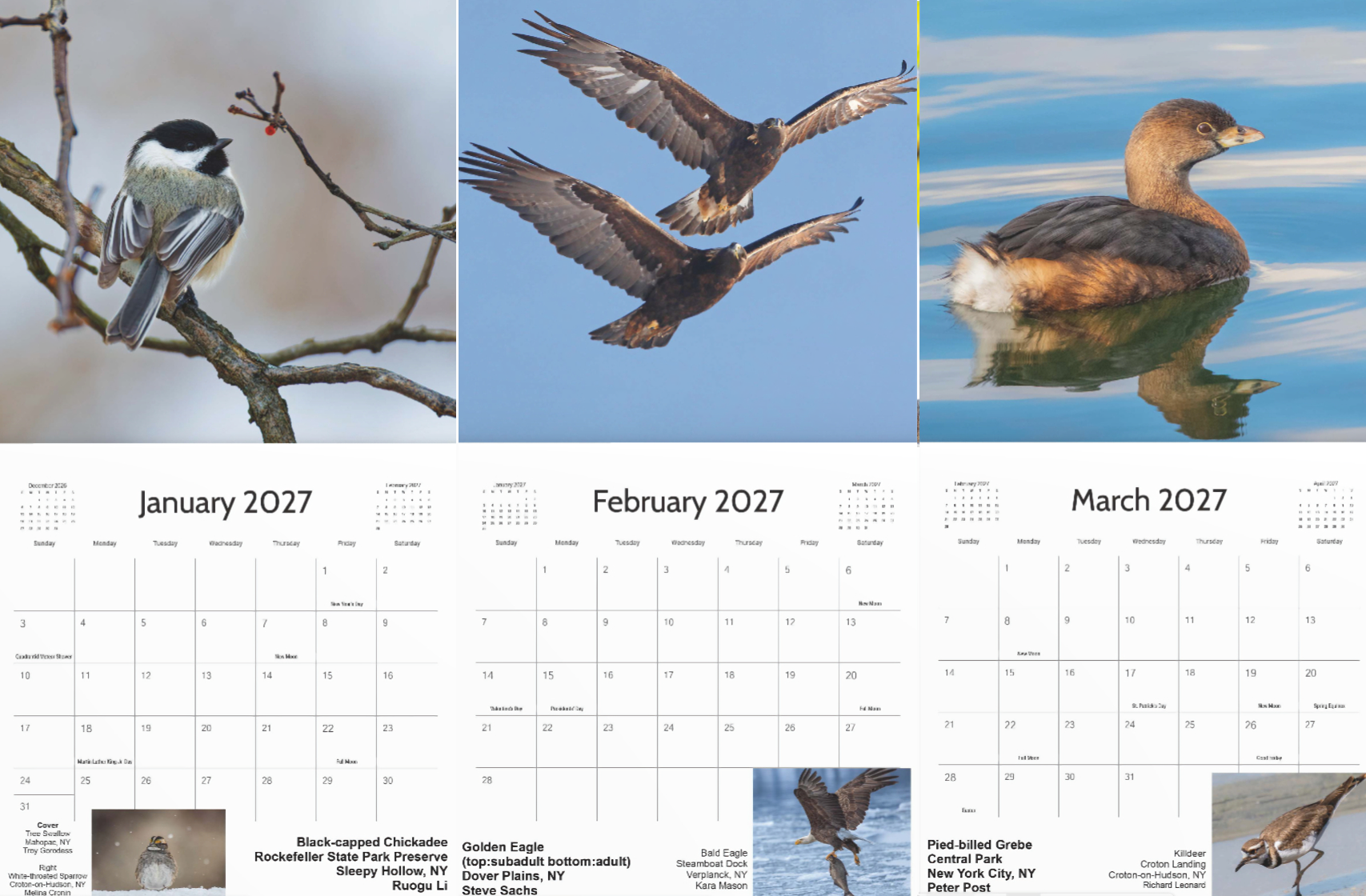 Jan-Feb-Mar Jan-Feb-Mar