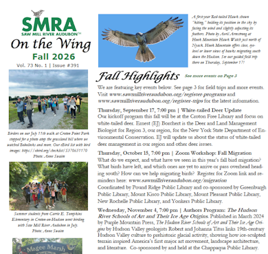 click above to download our latest newsletter