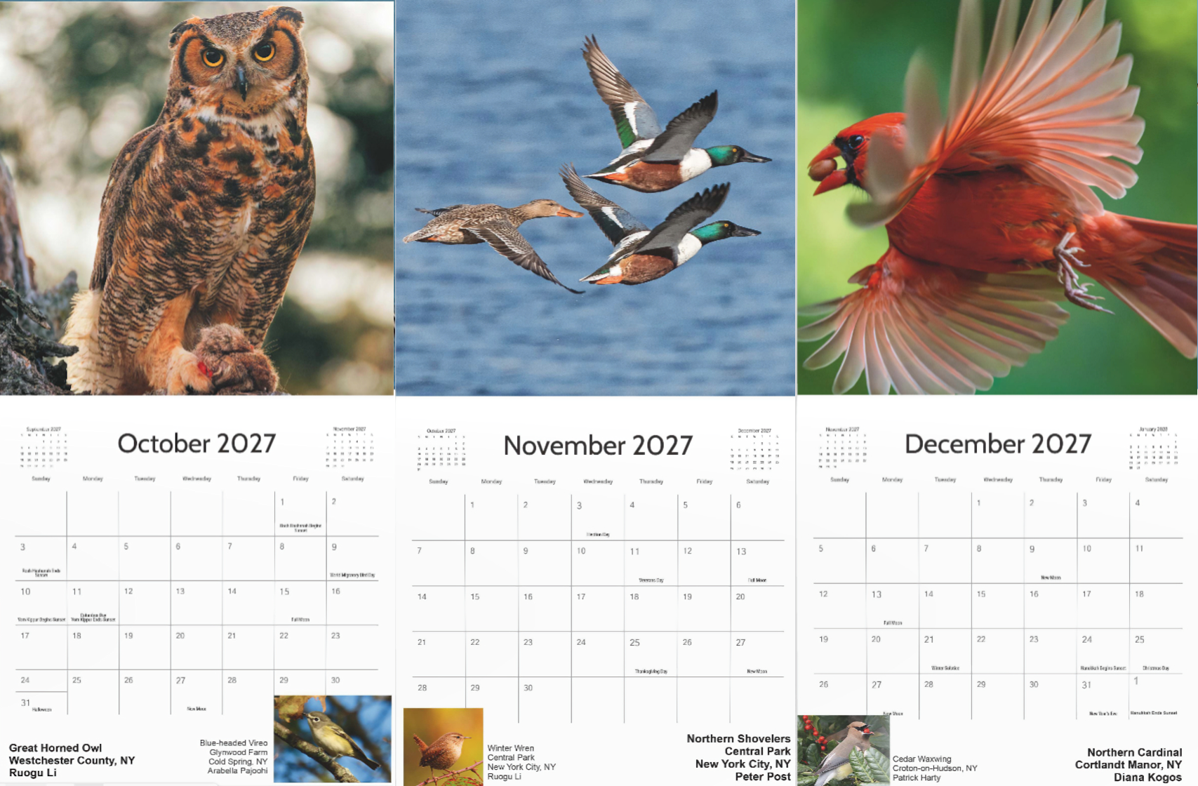 Oct-Nov-Dec Oct-Nov-Dec