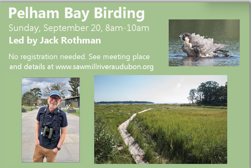 Pelham-Bay-New Pelham-Bay-New