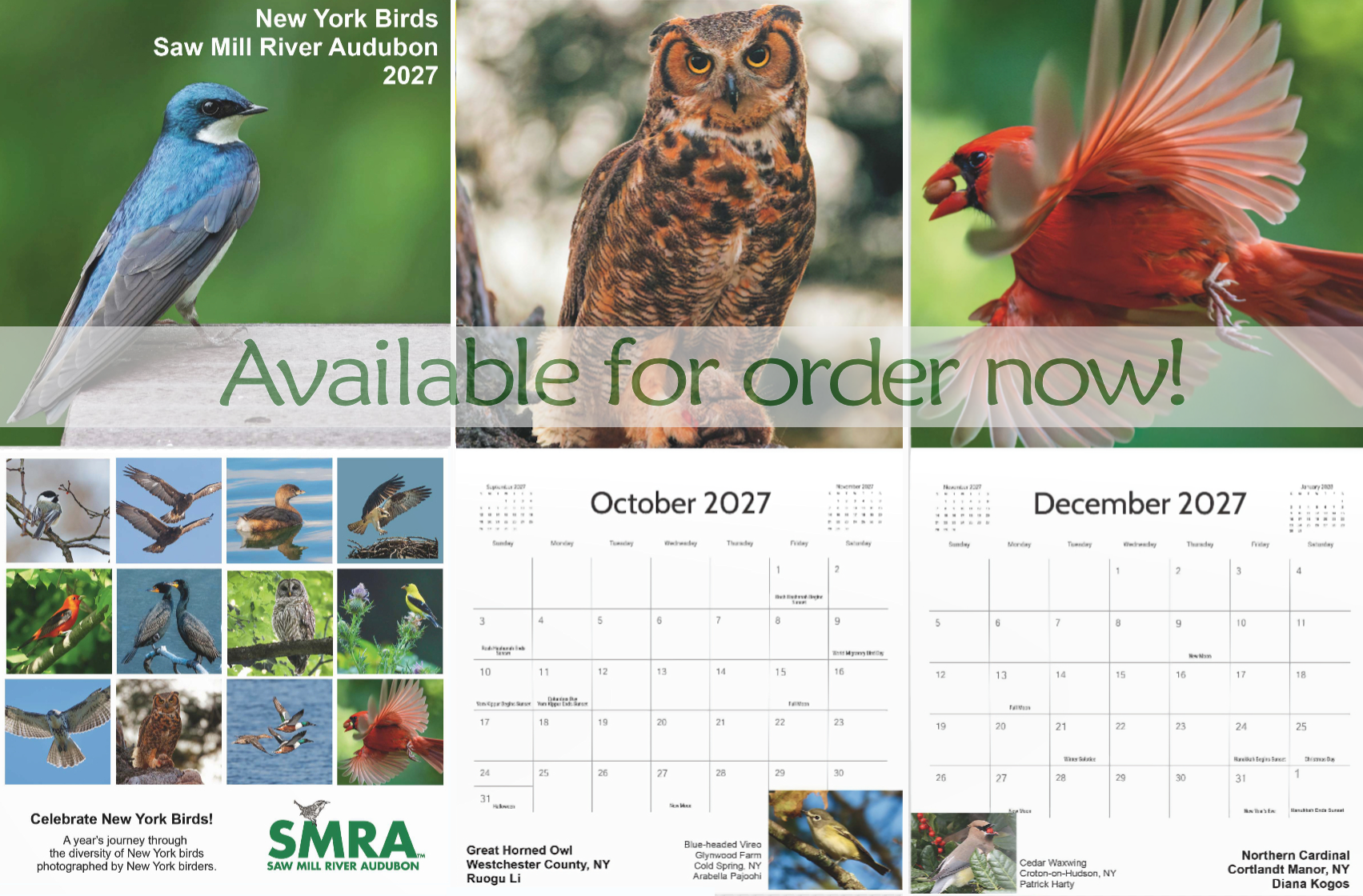 calendar-promo calendar-promo